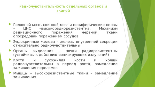 Радиочувствительность отдельных органов и тканей Головной мозг, спинной мозг и периферические нервы – ЦНС –высокорадиорезистентна. Механизм радиационного поражения нервной ткани опосредован поражением сосудов Эндокринные железы – железы внутренней секреции относительно радиочувствительны Органы выделения – почки радиорезистентны (устойчивы к действию ионизирующих излучений) Кости и сухожилия кости и хрящи радиочувствительны в период роста, замедление заживления переломов Мышцы – высокорезистентные ткани – замедление заживления 