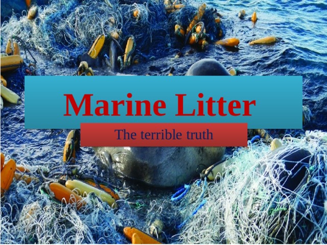 Marine litter презентация