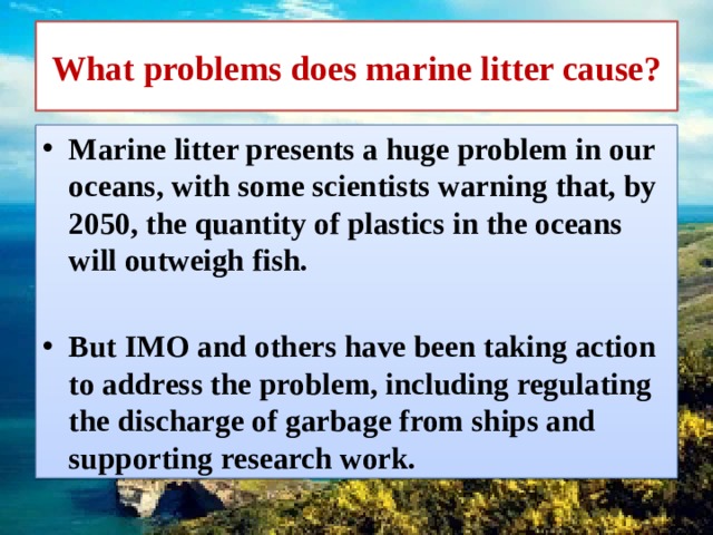 Marine litter презентация