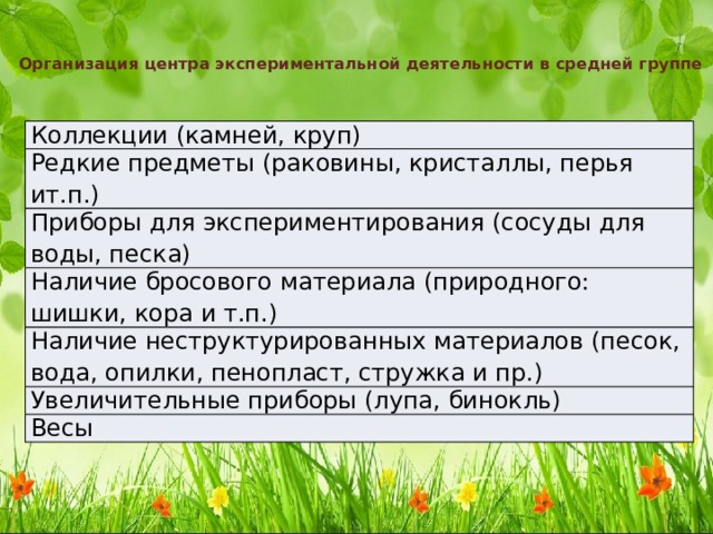 Организация центра экспериментальной деятельности в средней группе   Коллекции (камней, круп) Редкие предметы (раковины, кристаллы, перья ит.п.) Приборы для экспериментирования (сосуды для воды, песка) Наличие бросового материала (природного: шишки, кора и т.п.) Наличие неструктурированных материалов (песок, вода, опилки, пенопласт, стружка и пр.) Увеличительные приборы (лупа, бинокль) Весы 