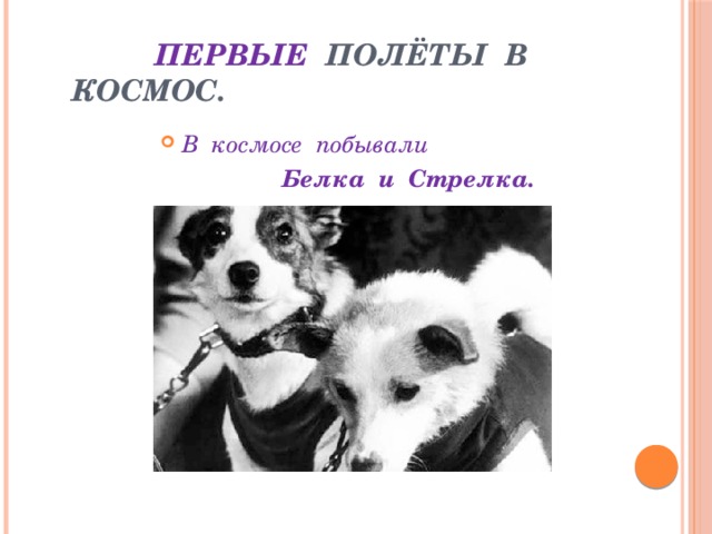  Первые полёты в космос.    В  космосе  побывали                    Белка  и  Стрелка. 