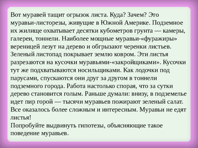 Вот муравей тащит огрызок листа. Куда? Зачем? Это  муравьи-листорезы, живущие в Южной Америке. Подземное их жилище охватывает десятки кубометров грунта — камеры, галереи, тоннели. Hаиболее мощные муравьи-«фуражиры» вереницей лезут на дерево и обгрызают черенки листьев. Зеленый листопад покрывает землю ковром. Эти листья разрезаются на кусочки муравьями-«закройщиками». Кусочки тут же подхватываются носильщиками. Как лодочки под парусами, спускаются они друг за другом в тоннели подземного города. Работа настолько спорая, что за сутки дерево становится голым. Раньше думали: внизу, в подземелье идет пир горой — тысячи муравьев пожирают зеленый салат. Все оказалось более сложным и интересным. Муравьи не едят листья! Попробуйте выдвинуть гипотезы, объясняющие такое поведение муравьев. 