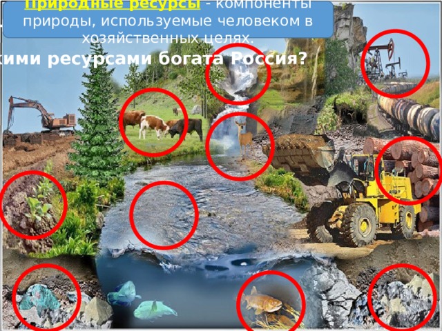 Природные ресурсы  - компоненты природы, используемые человеком в хозяйственных целях. Что такое природные ресурсы? Какими ресурсами богата Россия? 