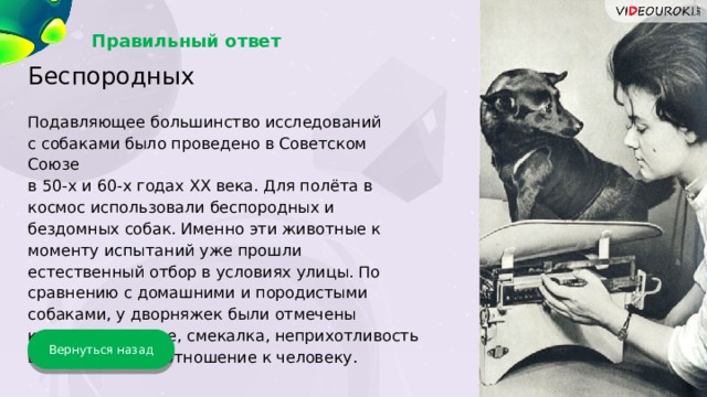 Правильный ответ Беспородных Подавляющее большинство исследований с собаками было проведено в Советском Союзе  в 50-х и 60-х годах XX века. Для полёта в космос использовали беспородных и бездомных собак. Именно эти животные к моменту испытаний уже прошли естественный отбор в условиях улицы. По сравнению с домашними и породистыми собаками, у дворняжек были отмечены крепкое здоровье, смекалка, неприхотливость в еде, лояльное отношение к человеку. Вернуться назад 