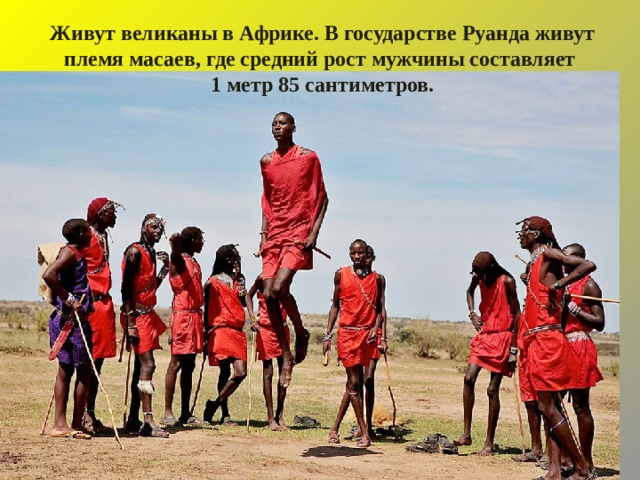 Живут великаны в Африке. В государстве Руанда живут племя масаев, где средний рост мужчины составляет 1 метр 85 сантиметров. 