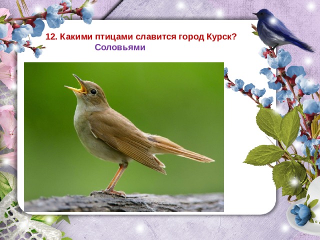 12. Какими птицами славится город Курск?   Соловьями 