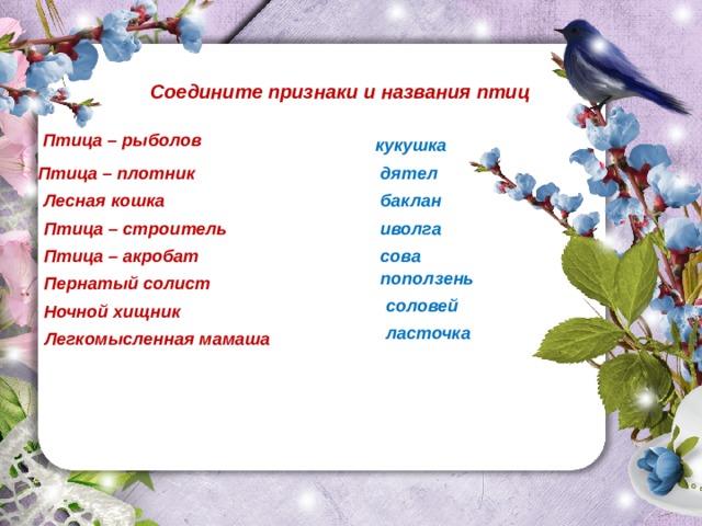 Соедините признаки и названия птиц Птица – рыболов кукушка Птица – плотник дятел Лесная кошка баклан Птица – строитель иволга сова Птица – акробат поползень Пернатый солист соловей Ночной хищник ласточка Легкомысленная мамаша 