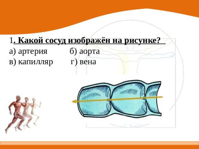 Какой сосуд изображен на рисунке 1