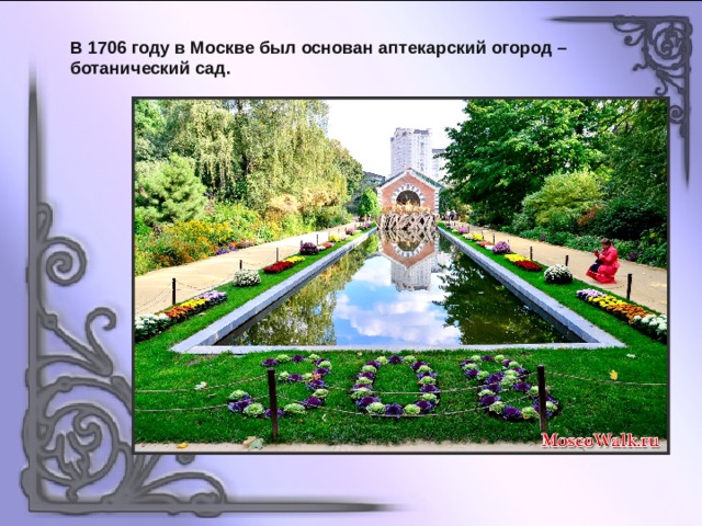 В 1706 году в Москве был основан аптекарский огород – ботанический сад. 