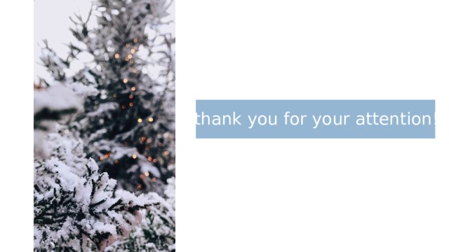 thank you for your attention! 