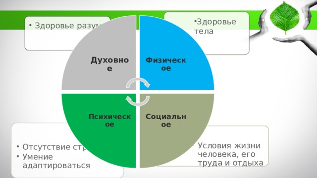 Физическое Социальное Психическое Здоровье тела Духовное Здоровье разума Здоровье разума Отсутствие страхов Умение адаптироваться Отсутствие страхов Умение адаптироваться Условия жизни человека, его труда и отдыха Условия жизни человека, его труда и отдыха 5 