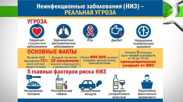 Укажите проекты рф по профилактике неинфекционных заболеваний и формированию зож