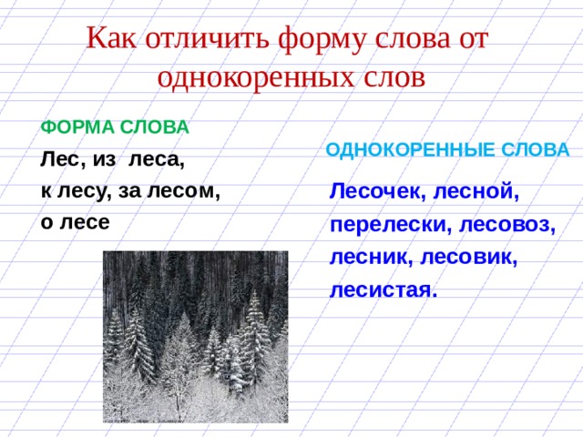 Стволы форма слова. Однокоренные слова дес. ЛКС однокоренные слова. Формы слова лес. Однокоренные слова к слову лес.