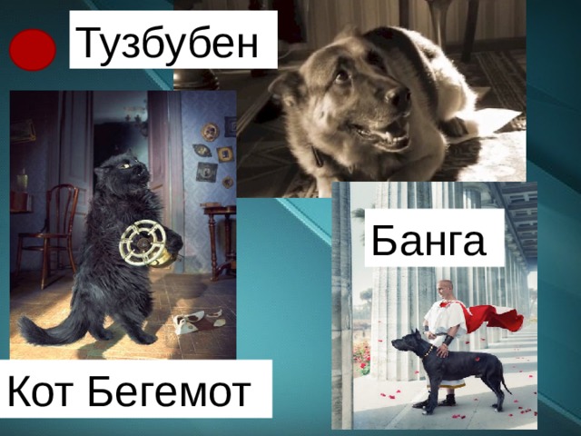 Тузбубен Банга Кот Бегемот 