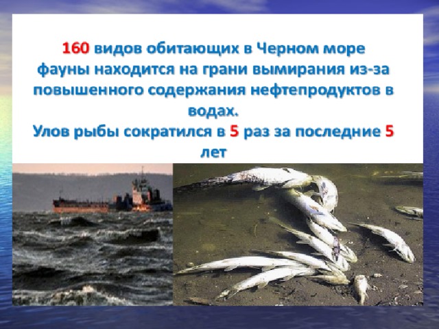 Кто обитает в черном море список