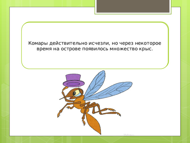 история с комарами и кошками текст. Смотреть фото история с комарами и кошками текст. Смотреть картинку история с комарами и кошками текст. Картинка про история с комарами и кошками текст. Фото история с комарами и кошками текст