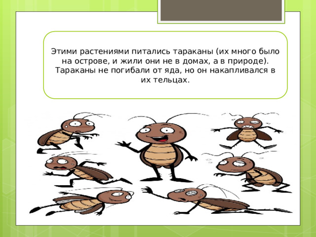 история с комарами и кошками текст. Смотреть фото история с комарами и кошками текст. Смотреть картинку история с комарами и кошками текст. Картинка про история с комарами и кошками текст. Фото история с комарами и кошками текст