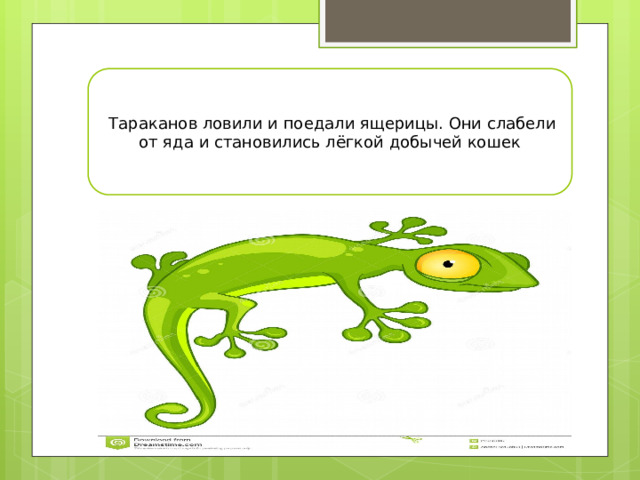история с комарами и кошками текст. Смотреть фото история с комарами и кошками текст. Смотреть картинку история с комарами и кошками текст. Картинка про история с комарами и кошками текст. Фото история с комарами и кошками текст