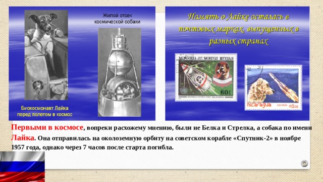 Первыми в космосе , вопреки расхожему мнению, были не Белка и Стрелка, а собака по имени Лайка . Она отправилась на околоземную орбиту на советском корабле «Спутник-2» в ноябре 1957 года, однако через 7 часов после старта погибла. 