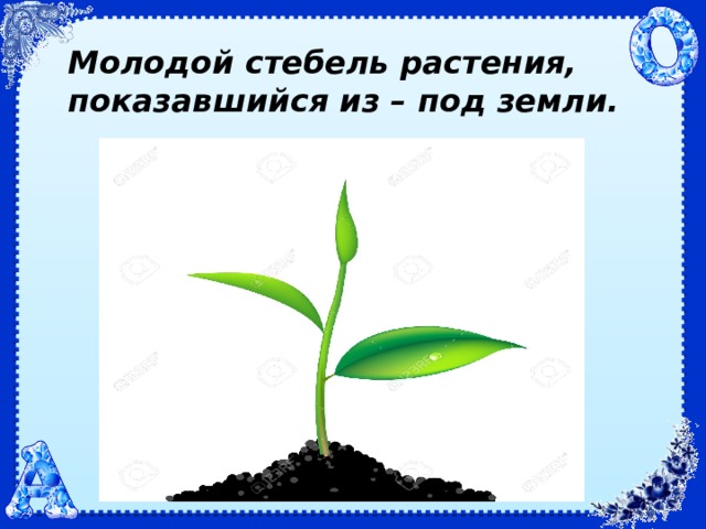 Молодой стебель. Молодой стебель растения, показавшийся из земли. Молодой стебелек. Каким значком показывается что растение любит свет.