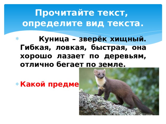 Прочитайте текст,  определите вид текста.  Куница – зверёк хищный. Гибкая, ловкая, быстрая, она хорошо лазает по деревьям, отлично бегает по земле.  Какой предмет? 