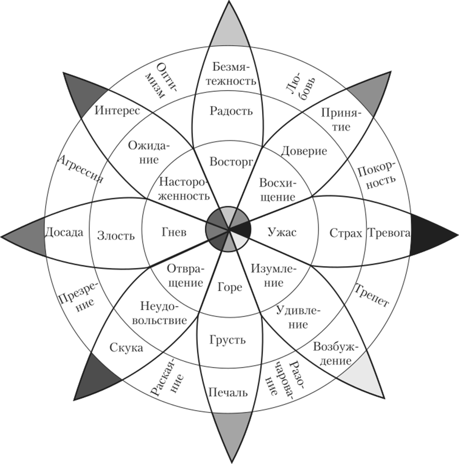 Эмоциональный круг схема