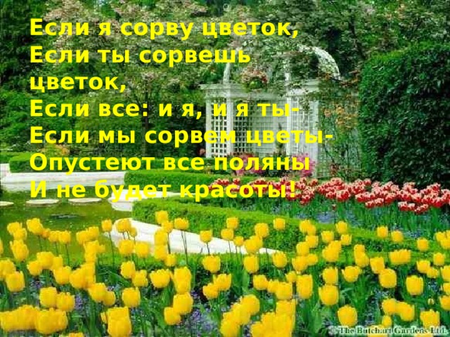 Если я сорву цветок, Если ты сорвешь цветок, Если все: и я, и я ты- Если мы сорвем цветы- Опустеют все поляны И не будет красоты! 