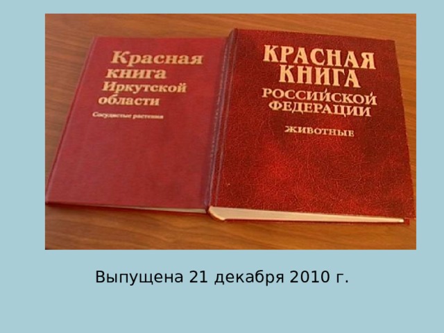 Выпущена 21 декабря 2010 г. 