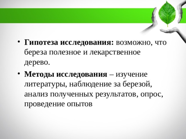 Гипотеза исследования: возможно, что береза полезное и лекарственное дерево. Методы исследования – изучение литературы, наблюдение за березой, анализ полученных результатов, опрос, проведение опытов 