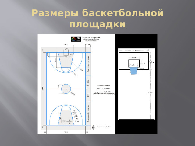 Размеры баскетбольной площадки 