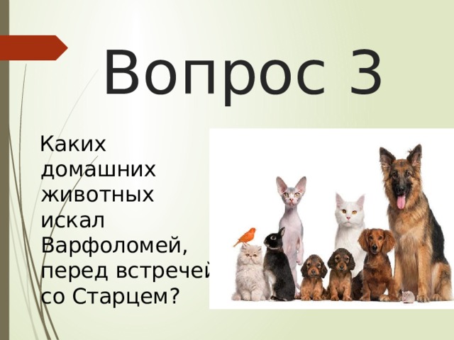 Вопрос 3  Каких домашних животных искал Варфоломей, перед встречей со Старцем? 