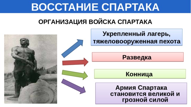 По какому образцу организовал спартак свое войско из каких частей состояло войско спартака