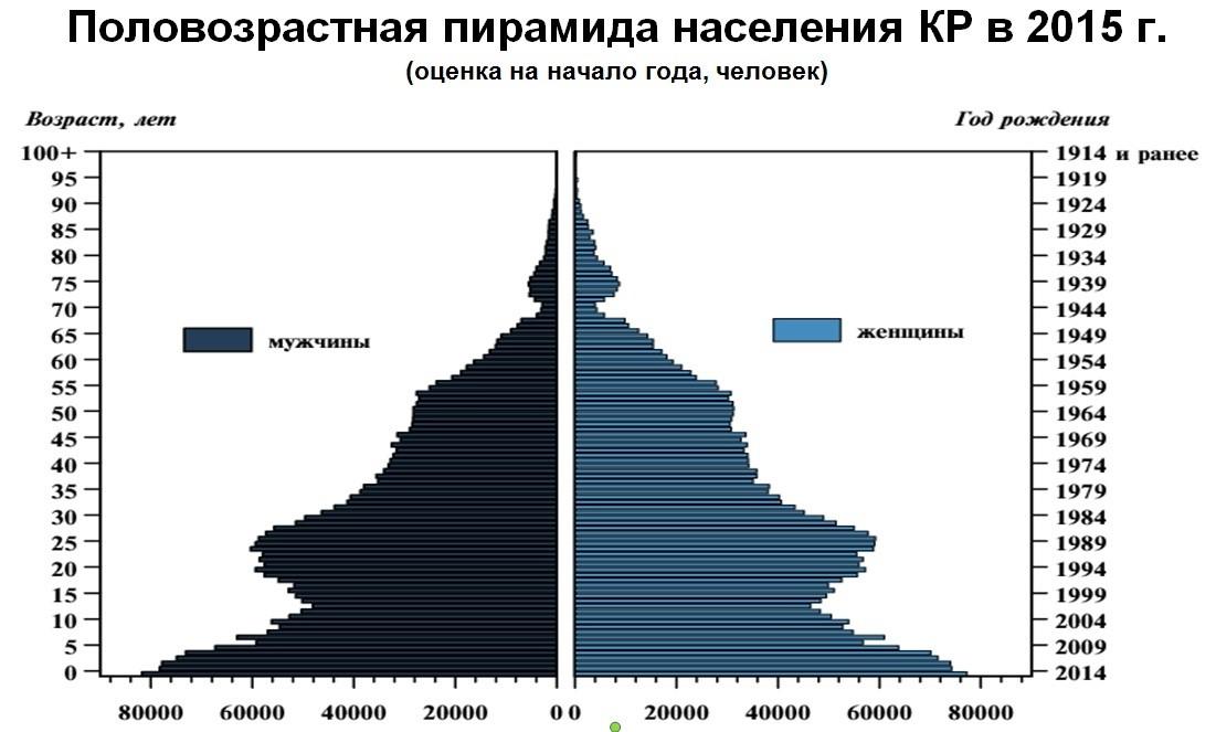 Численность киргизов. Население Казахстана и Половозрастная пирамида. Половозрастная пирамида Узбекистана 2020. Демографическая пирамида Киргизии. Половозрастная пирамида демография.
