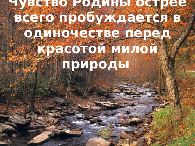 Чувство Родины острее всего пробуждается в одиночестве перед красотой милой природы  