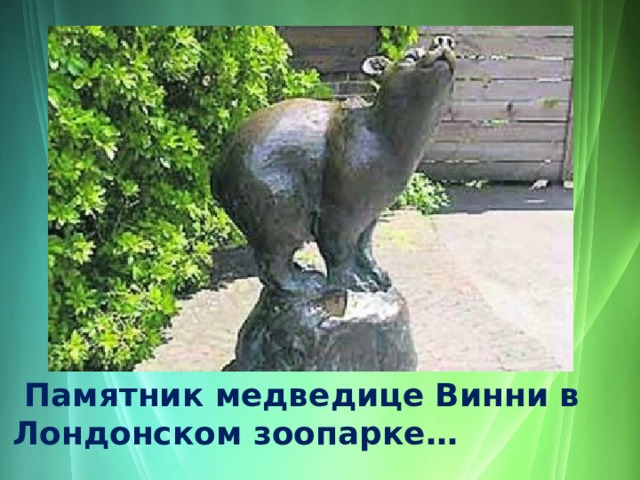  Памятник медведице Винни в Лондонском зоопарке… 