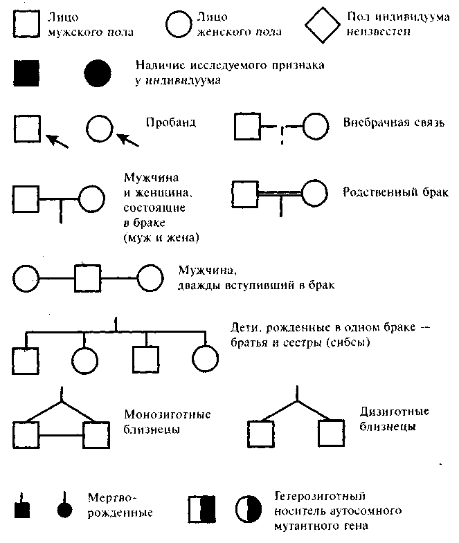 Изучите графическое изображение родословной семьи по одному изучаемому признаку ответы на вопросы