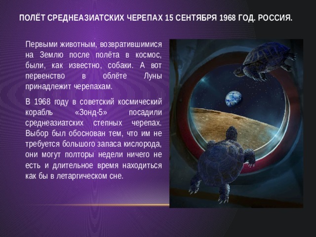 Большого выбора рисунка пользуются известной популярностью биил