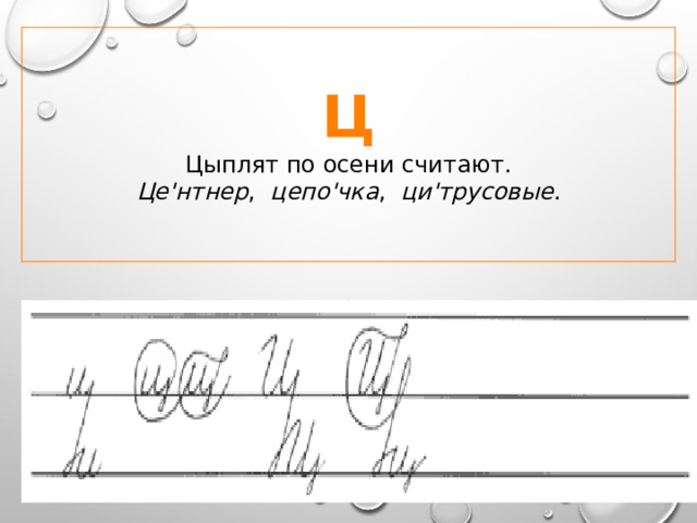 Ц Цыплят по осени считают. Це'нтнер , цепо'чка , ци'трусовые . 