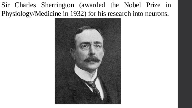 Sir Charles Sherrington (awarded the Nobel Prize in Physiology/Medicine in 1932) for his research into neurons. 