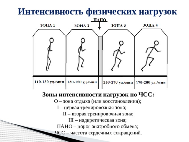 Интенсивность физических нагрузок