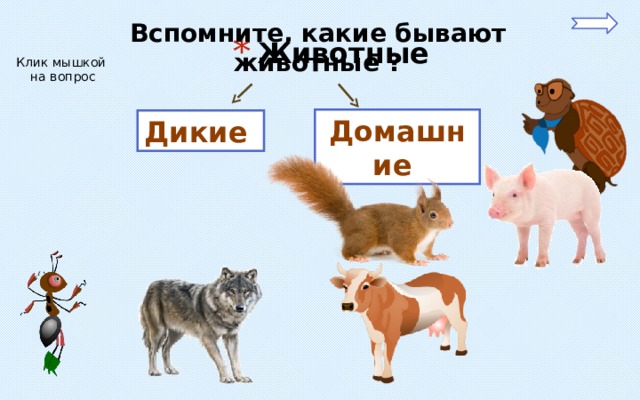 Вспомните, какие бывают животные ? Животные Клик мышкой  на вопрос Домашние Дикие 