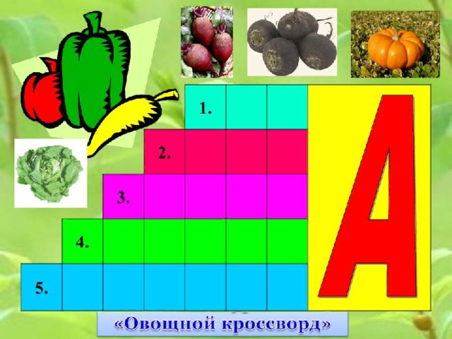 Овощная трава с большими листьями кроссворд