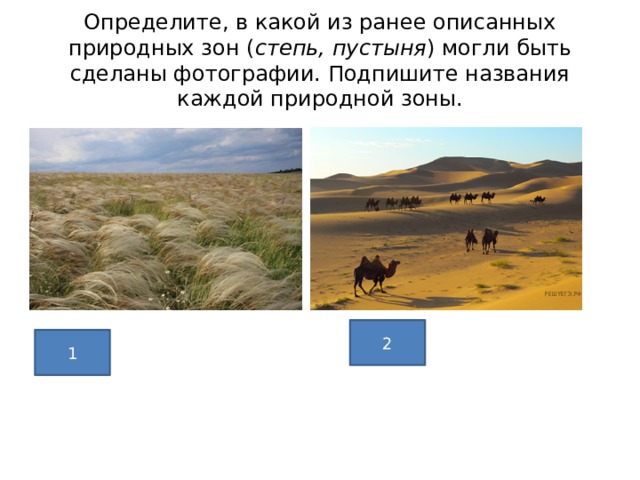 Степь почвы растения животные. Климат Степной зоны. Степь и пустыня сравнение. Сравнение пустынь и степей. Сходства степи и пустыни.