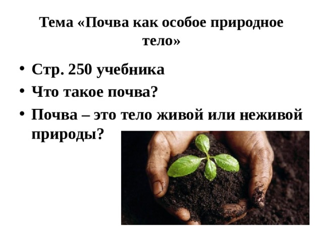 Тема «Почва как особое природное тело» Стр. 250 учебника Что такое почва? Почва – это тело живой или неживой природы? 