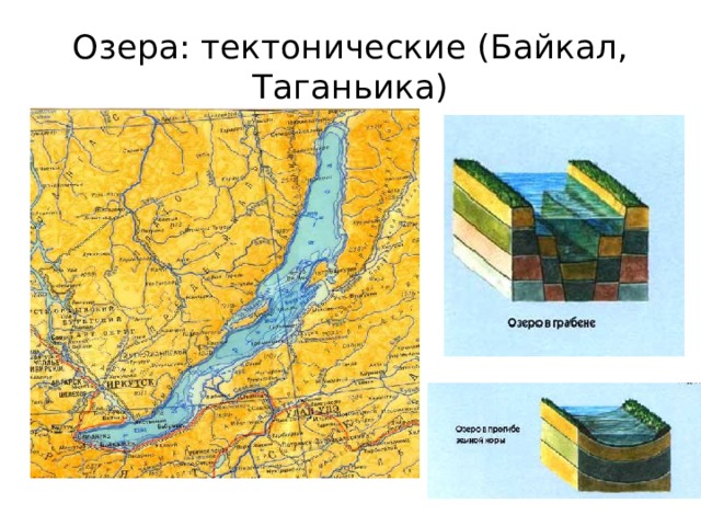 Озера: тектонические (Байкал, Таганьика)  