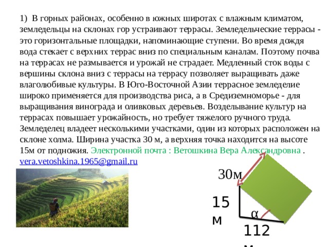 Террасы огэ 2024