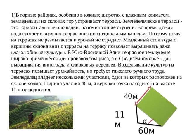 Земледелец на расчищенном склоне холма выращивает