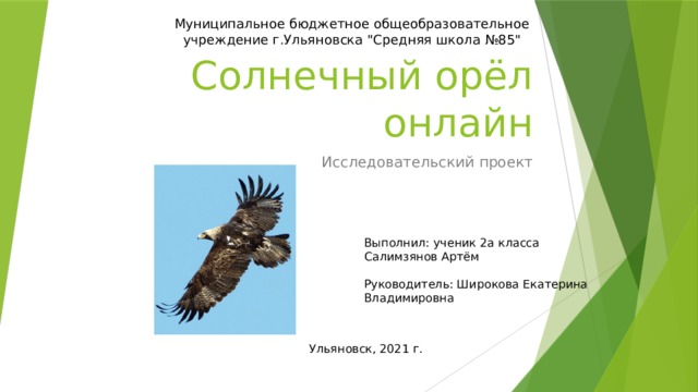 Муниципальное бюджетное общеобразовательное учреждение г.Ульяновска 