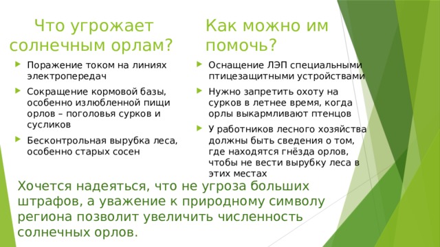 Что угрожает солнечным орлам? Как можно им помочь? Поражение током на линиях электропередач Сокращение кормовой базы, особенно излюбленной пищи орлов – поголовья сурков и сусликов Бесконтрольная вырубка леса, особенно старых сосен Оснащение ЛЭП специальными птицезащитными устройствами Нужно запретить охоту на сурков в летнее время, когда орлы выкармливают птенцов У работников лесного хозяйства должны быть сведения о том, где находятся гнёзда орлов, чтобы не вести вырубку леса в этих местах Хочется надеяться, что не угроза больших штрафов, а уважение к природному символу региона позволит увеличить численность солнечных орлов. 