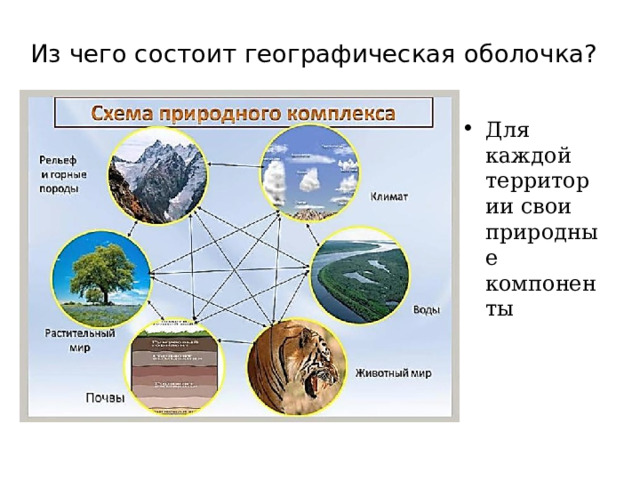 Природный комплекс местности